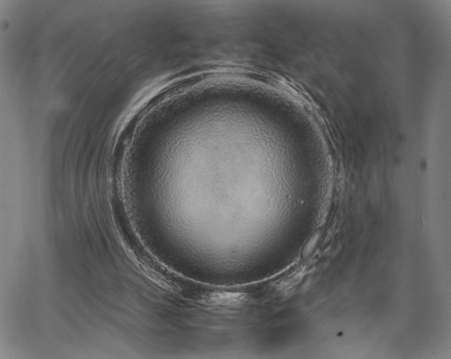 X0000067480055200604071149