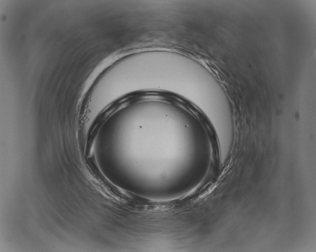 X0000067480056200604071149