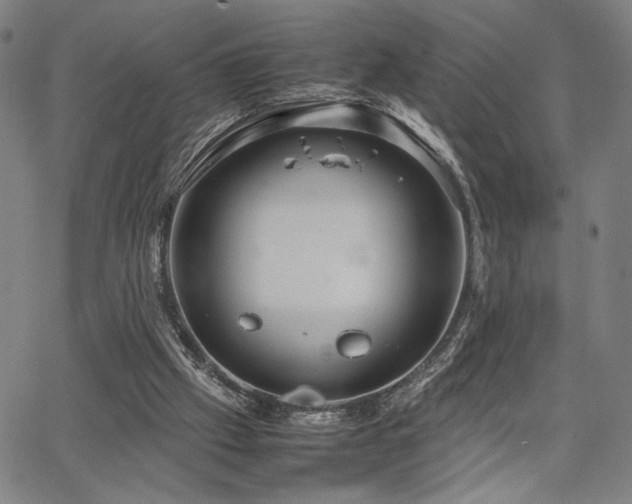 X0000067480057200604071149