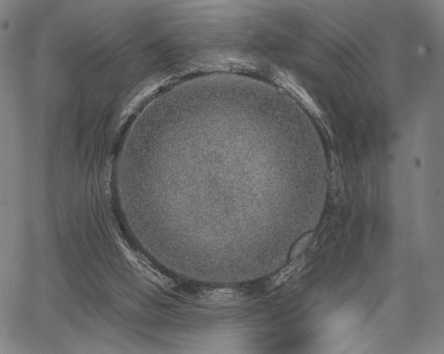 X0000067480058200604071149