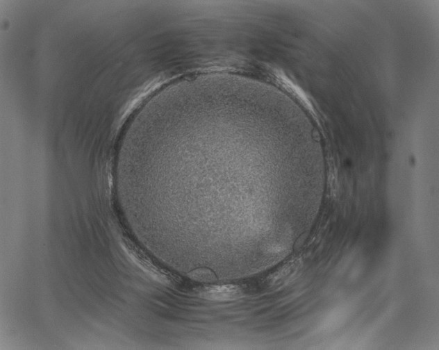 X0000067480059200604071149