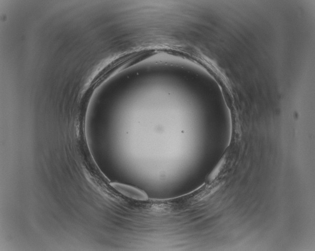 X0000067480060200604071149