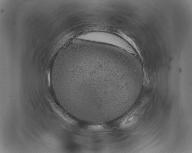 X0000067480061200604071149