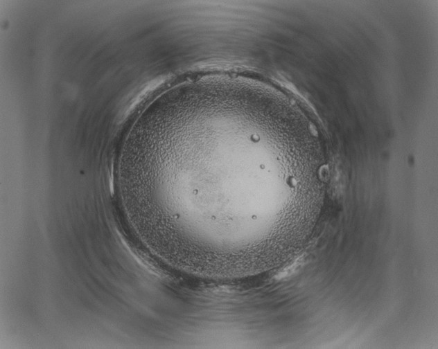 X0000067480062200604071149