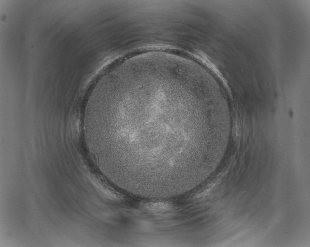 X0000067480063200604071149