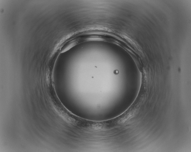 X0000067480064200604071149