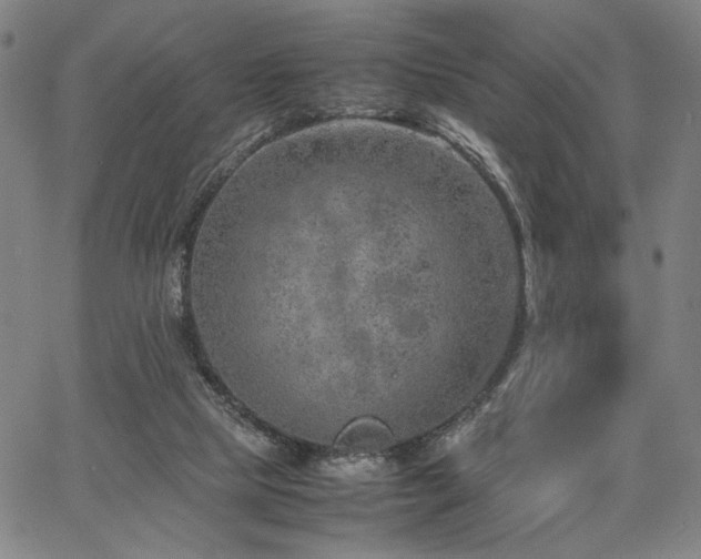 X0000067480065200604071149