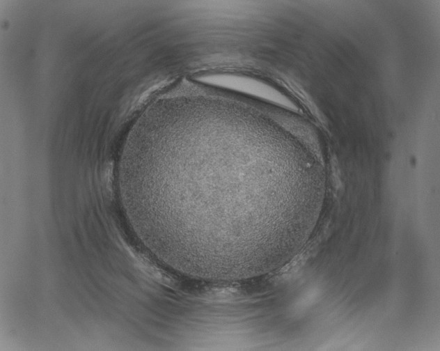 X0000067480066200604071149