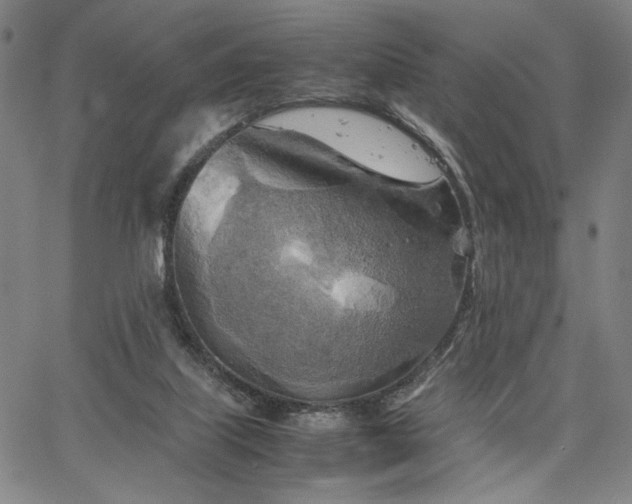 X0000067480067200604071149