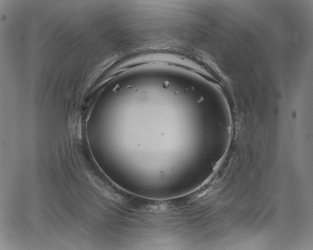 X0000067480068200604071149