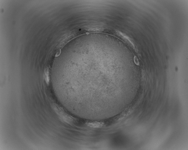 X0000067480069200604071149