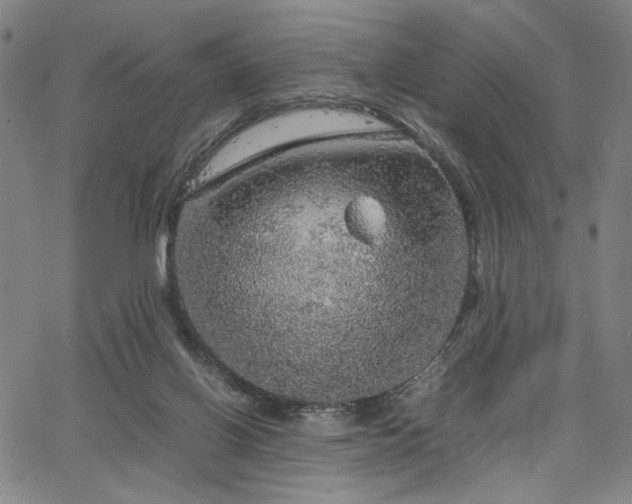 X0000067480070200604071149