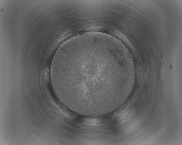 X0000067480071200604071149