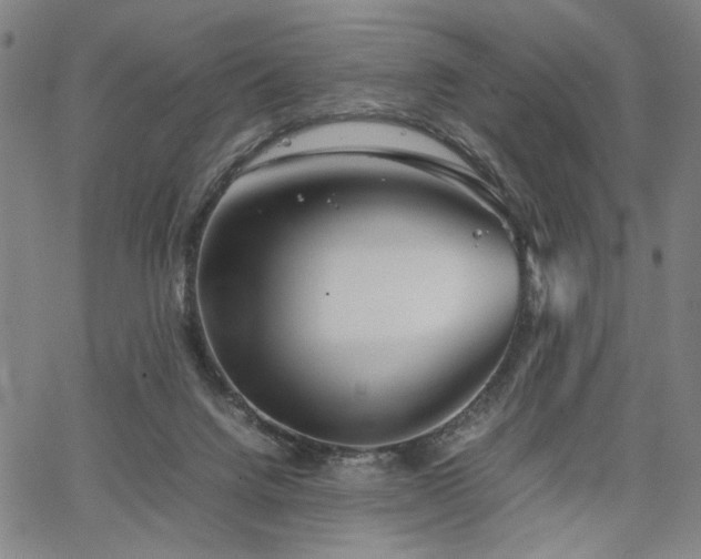 X0000067480072200604071149