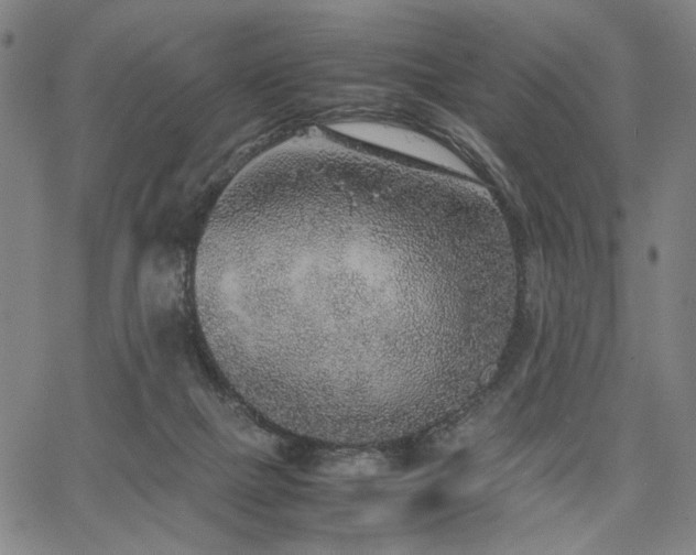 X0000067480073200604071149