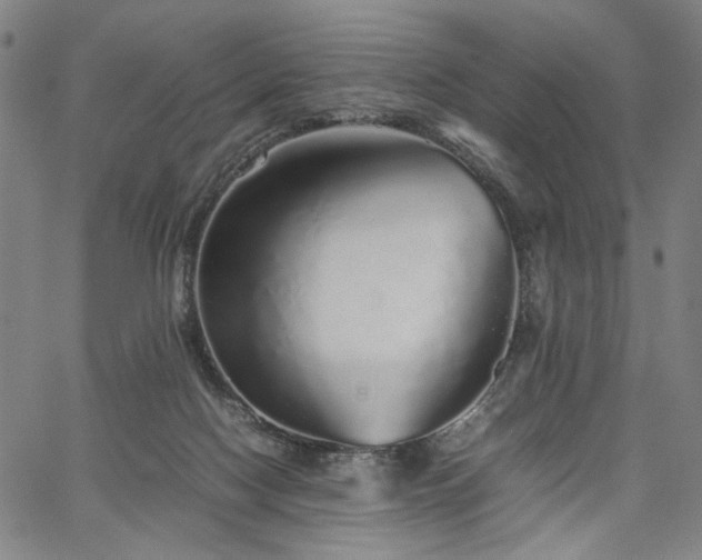 X0000067480074200604071149