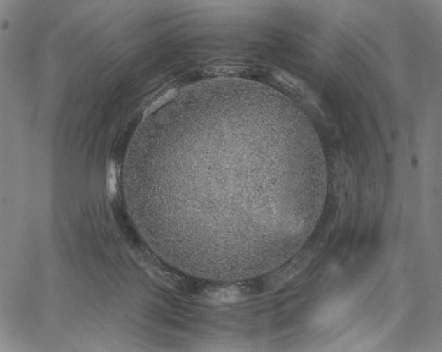 X0000067480075200604071149