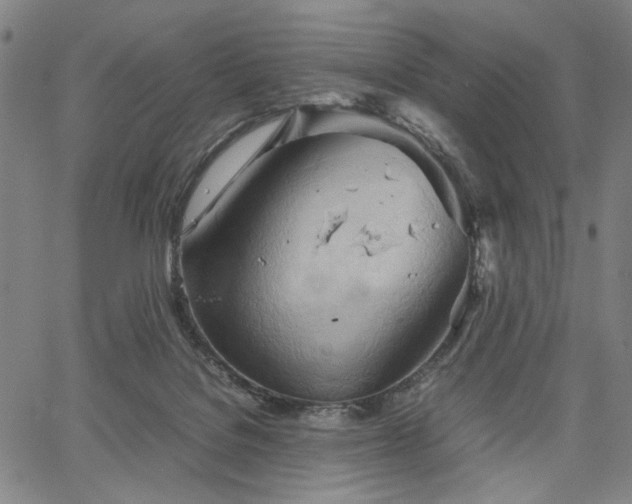 X0000067480076200604071149