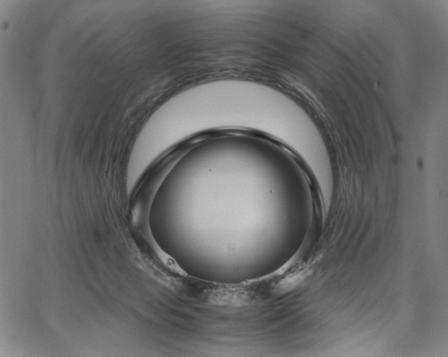 X0000067480077200604071149