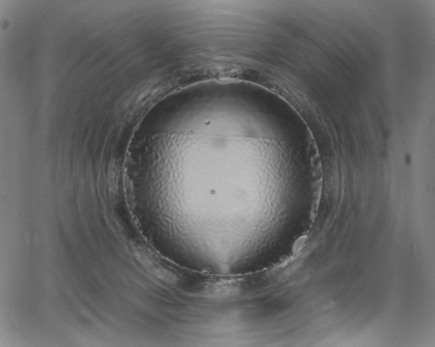 X0000067480078200604071149