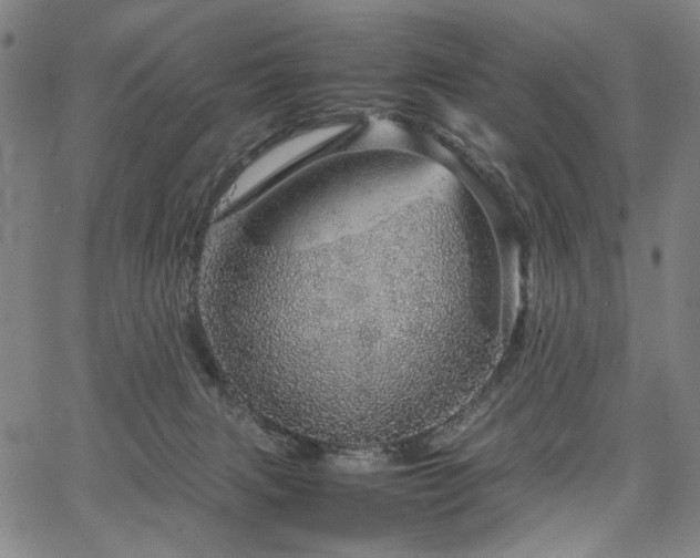 X0000067480079200604071149