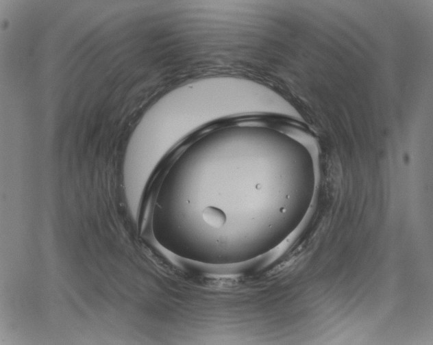 X0000067480080200604071149