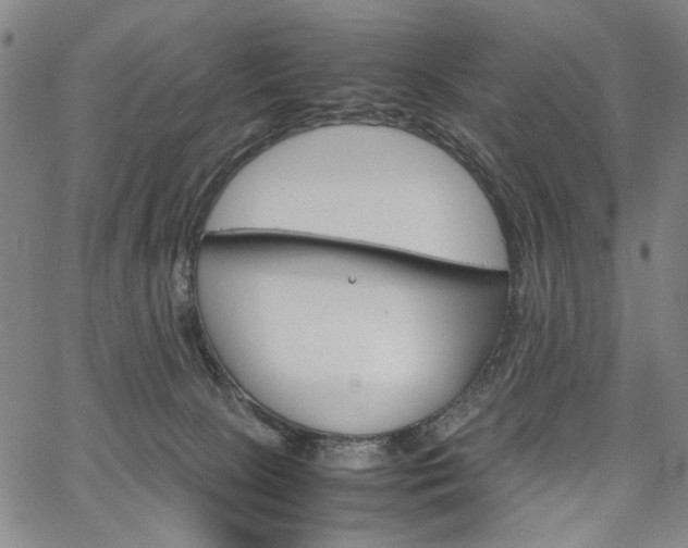 X0000067480081200604071149