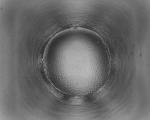 X0000067480082200604071149