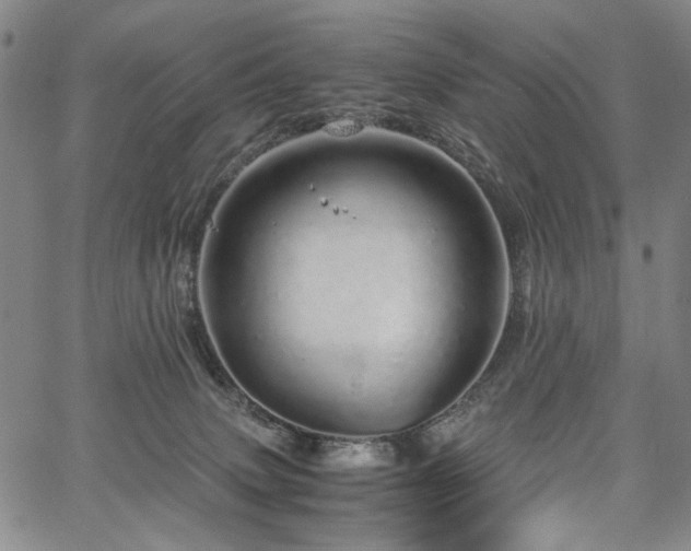 X0000067480083200604071149