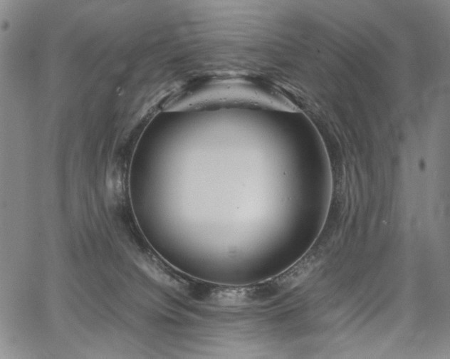 X0000067480084200604071149