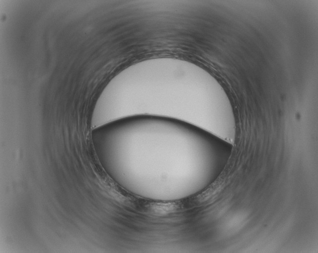 X0000067480085200604071149