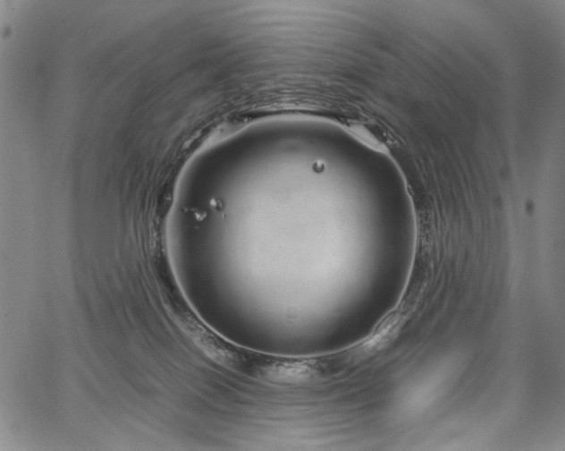 X0000067480086200604071149