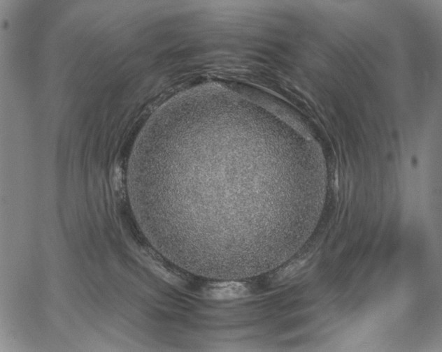 X0000067480087200604071149