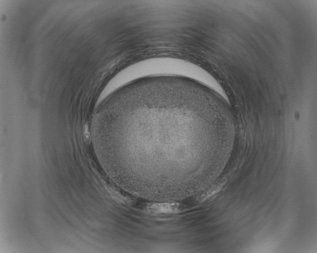 X0000067480089200604071149