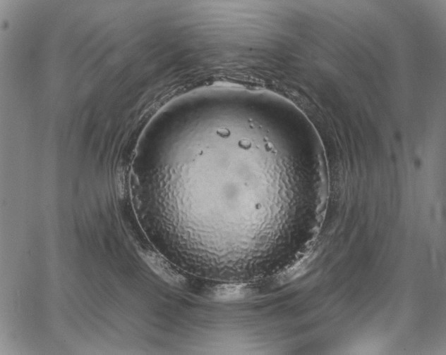 X0000067480090200604071149