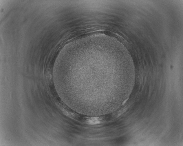 X0000067480091200604071150