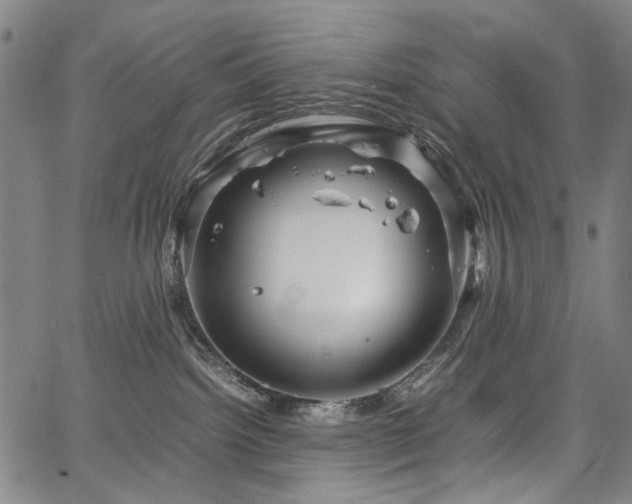 X0000067480092200604071150