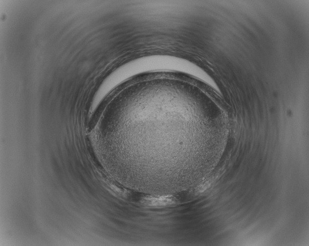 X0000067480093200604071150