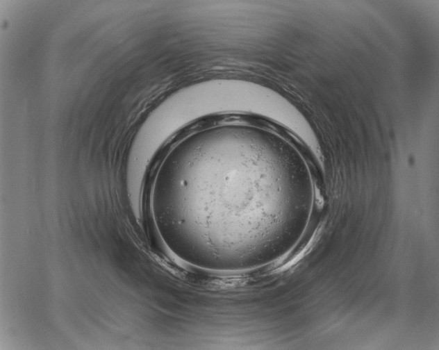 X0000067480094200604071150