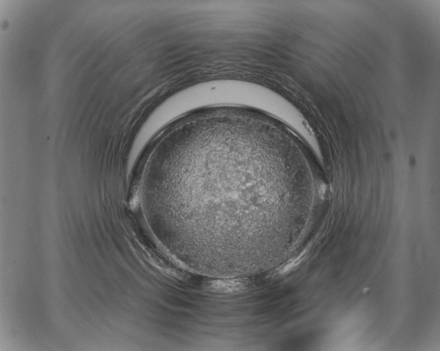 X0000067480095200604071150