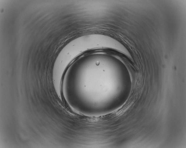 X0000067480096200604071150