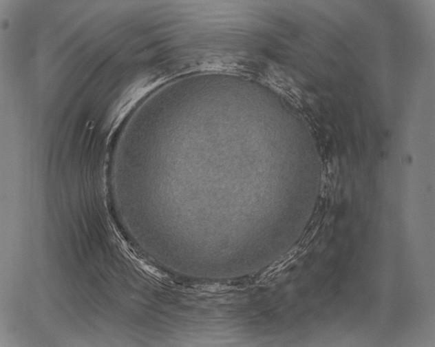 X0000067480098200604071149