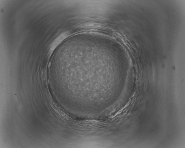 X0000067480099200604071149