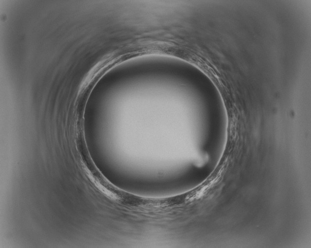 X0000067480101200604071149