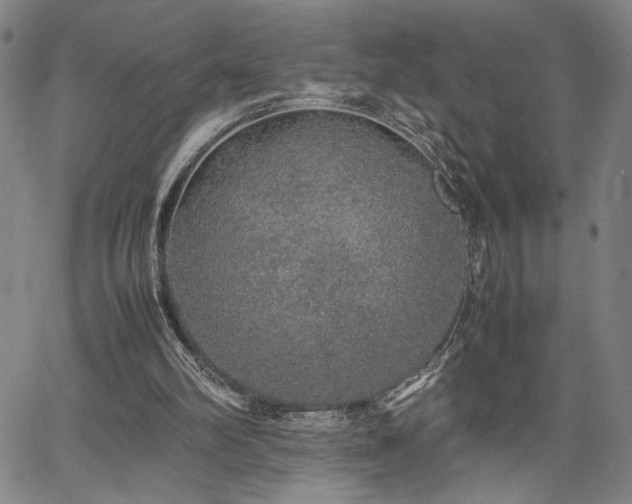 X0000067480102200604071149