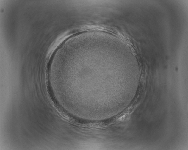 X0000067480103200604071149