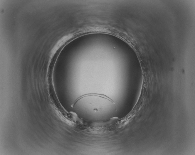 X0000067480104200604071149