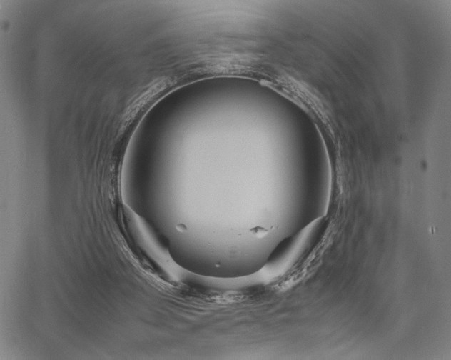 X0000067480105200604071149