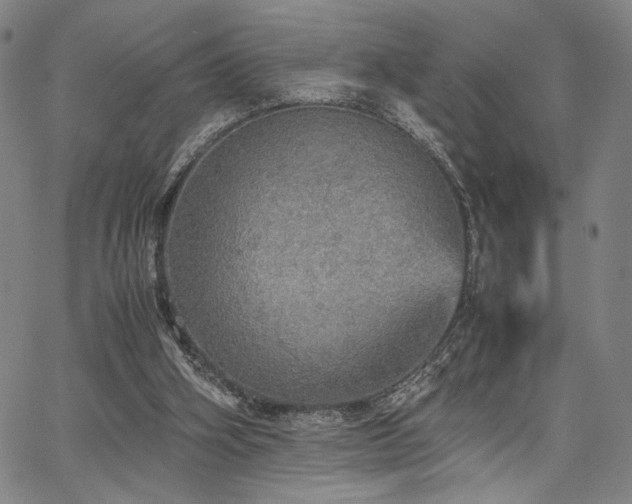 X0000067480106200604071149