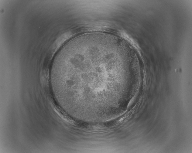 X0000067480107200604071149